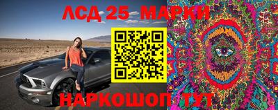 дурь Можга