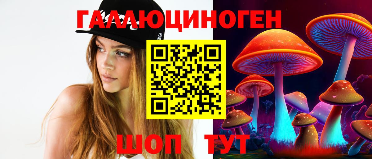 Вышний Волочёк  купить  цена  Вход с VPN  Галлюциногенные грибы Psilocybe 